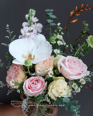 WEEKLY BLOSSOM