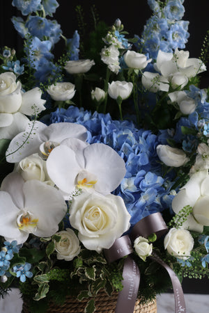 Blue Sapphire